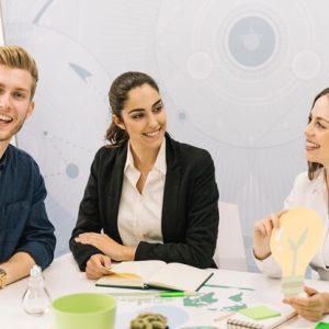 Holistic Business Excellence Program